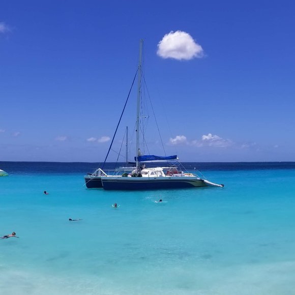 Meet your Posher, Marvin - Picture 4 of 8